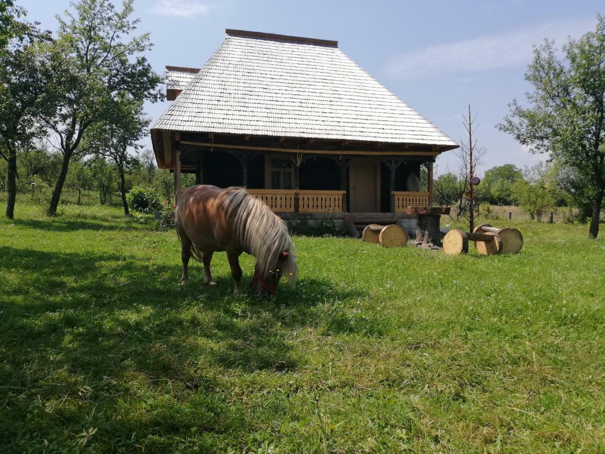 Casuta Din Gradina Apartment Breb Bagian luar foto